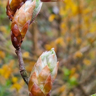 Sun☀️Sonne 🦋🌼☘🏃🏼‍♀️🏃🏼‍♂️ Belinda post image