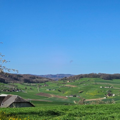 Stralsund bewegt sich 💪⚓ Belinda post image