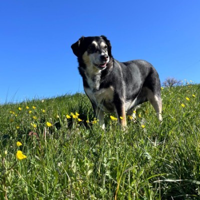 Stralsund bewegt sich 💪⚓ Belinda post image