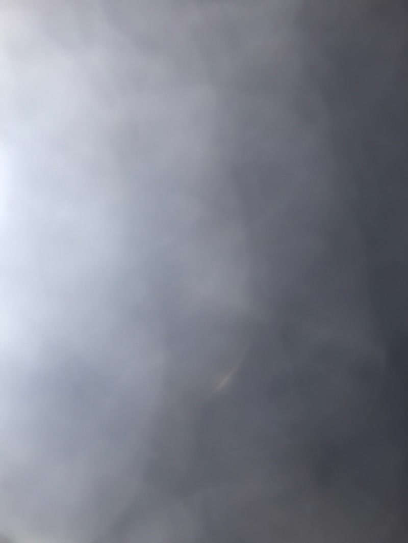 walking near me in Parc Lorne-Worsley in summer