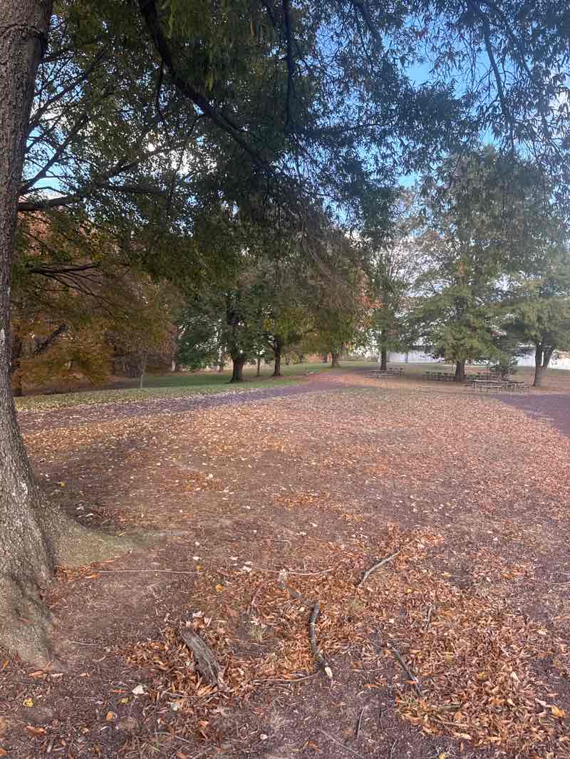 walking near me in Monmouth Battlefield State Park in autumn
