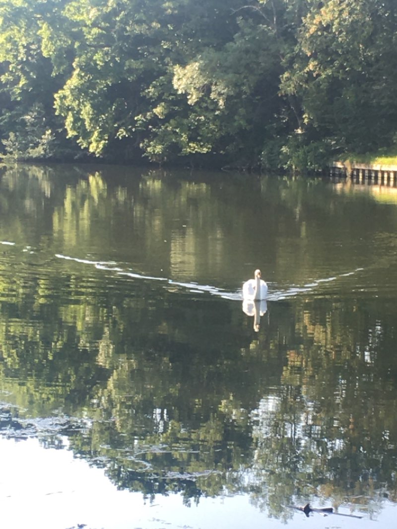 walking near me in Square Raymond Bezard in spring