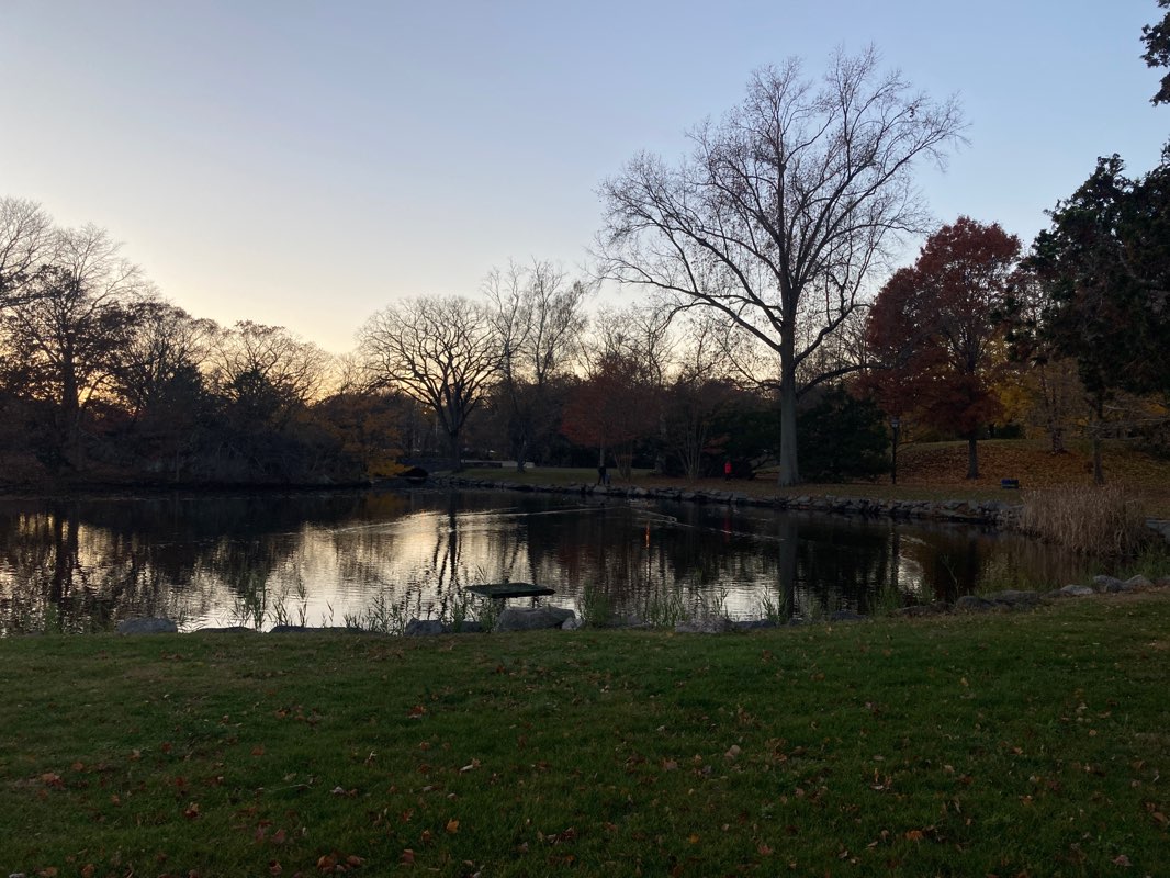 walking near me in Bruce Park in winter