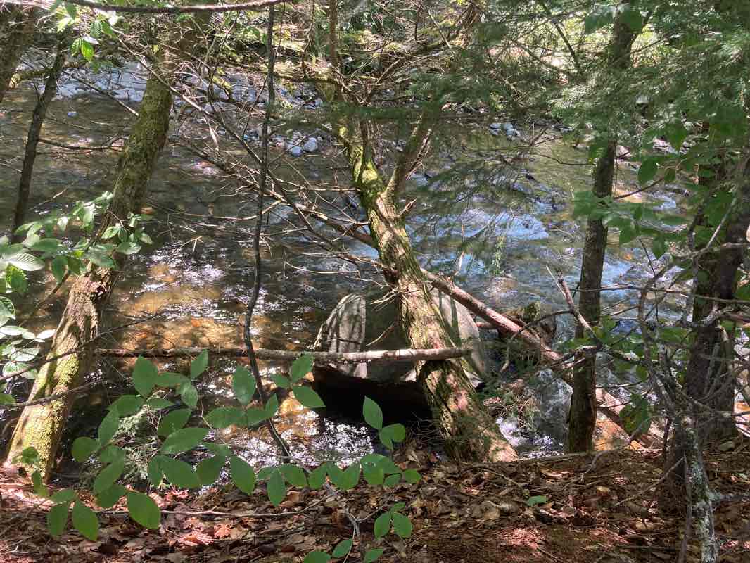 walking near me in Thompson Park in winter