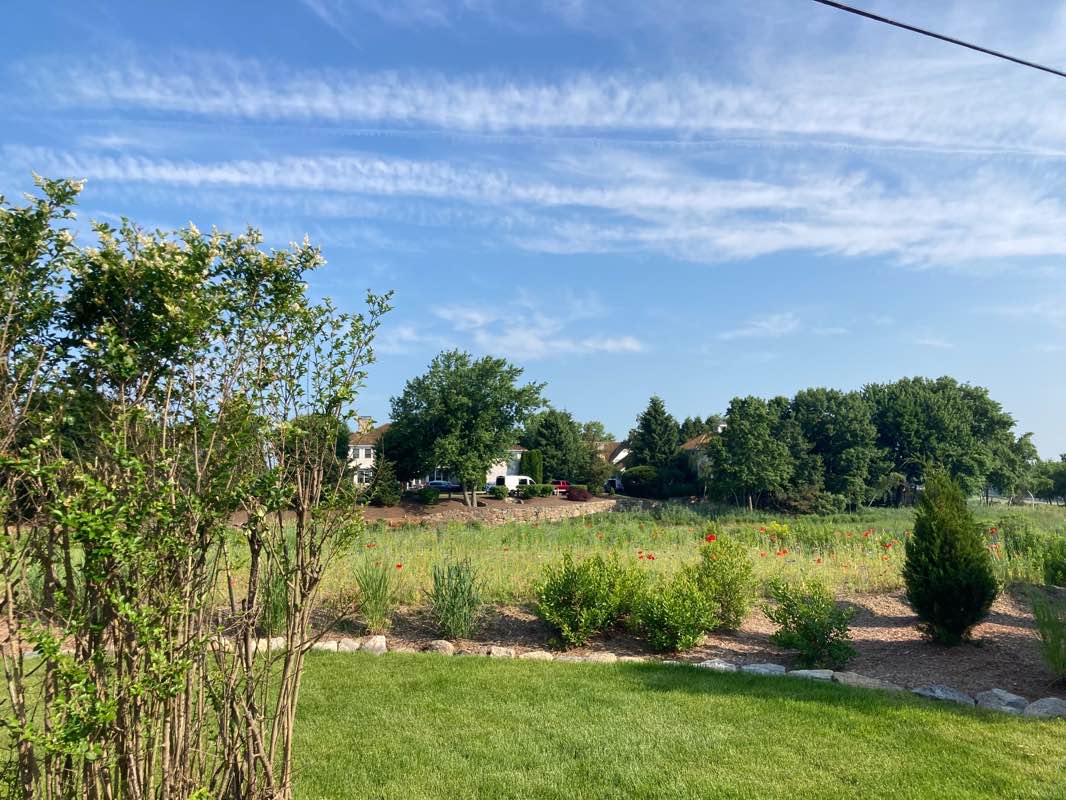 walking near me in Ludlow Park in winter