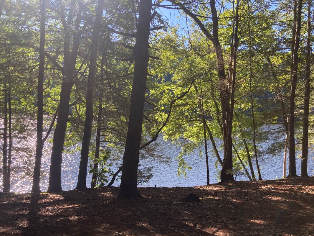 walking near me in Paugussett State Forest in winter