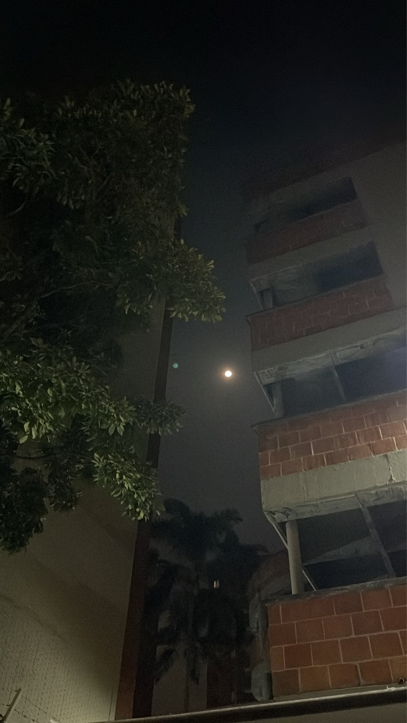 walking near me in Parque Madera in winter