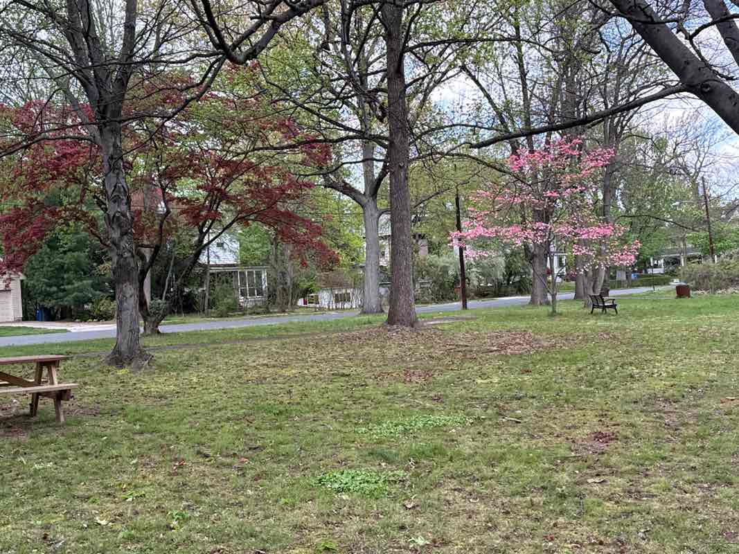 walking near me in Hampton Park in spring