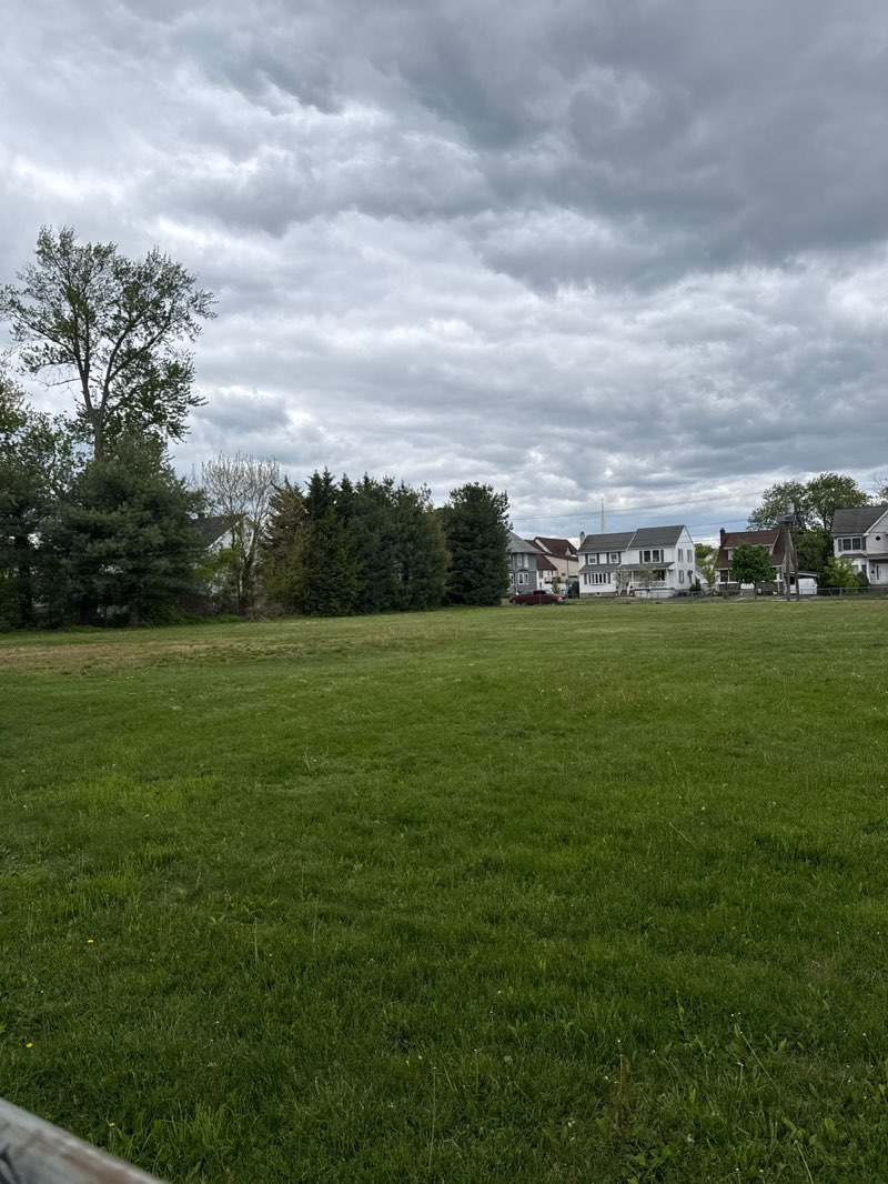 walking near me in YMCA Park in spring