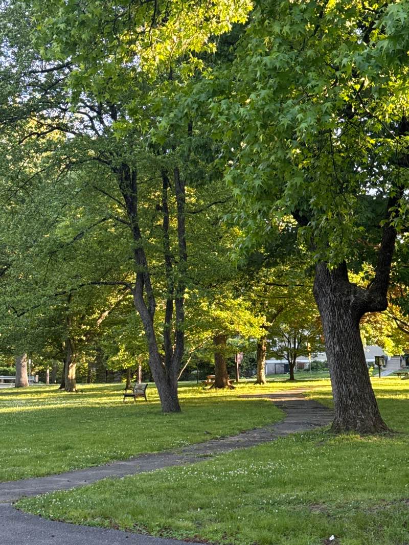 walking near me in Hampton Park in summer