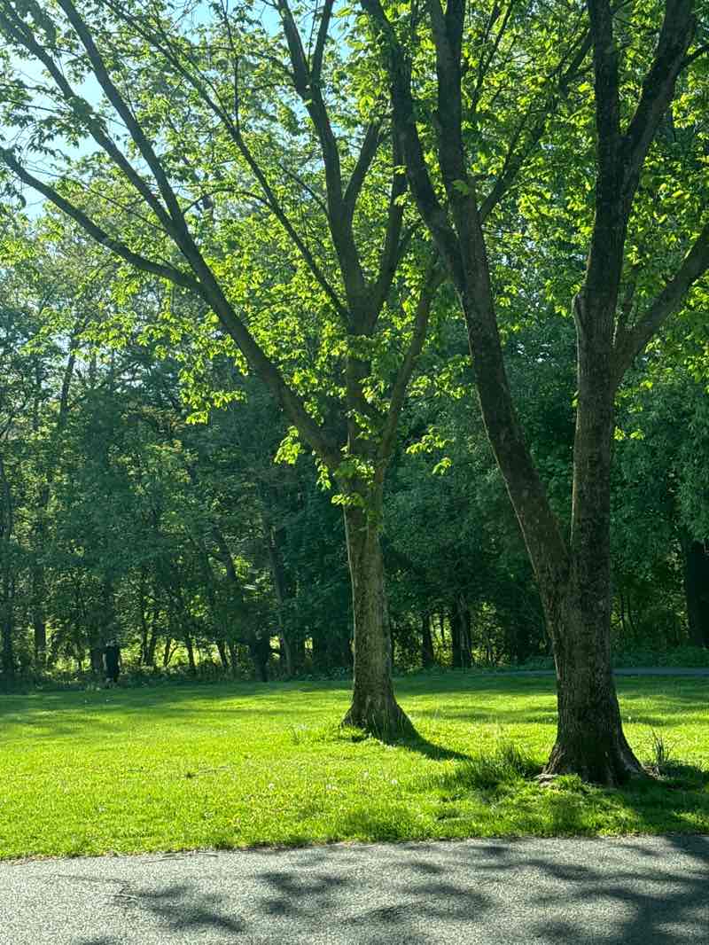 walking near me in Briant Park in spring