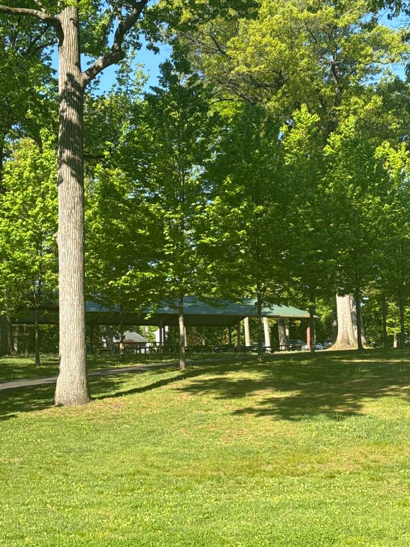 walking near me in Brookside Park in spring