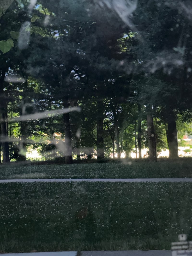walking near me in Lamonaco Perry Memorial Park in summer