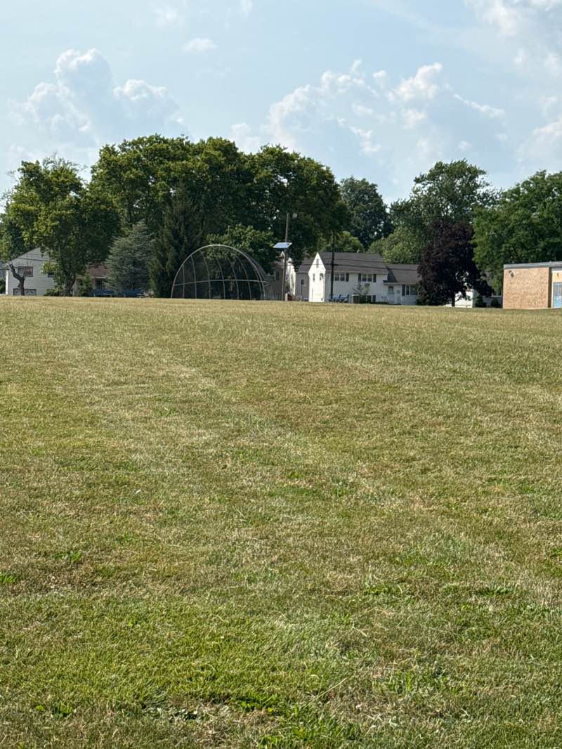 walking near me in Deerfield Park in summer