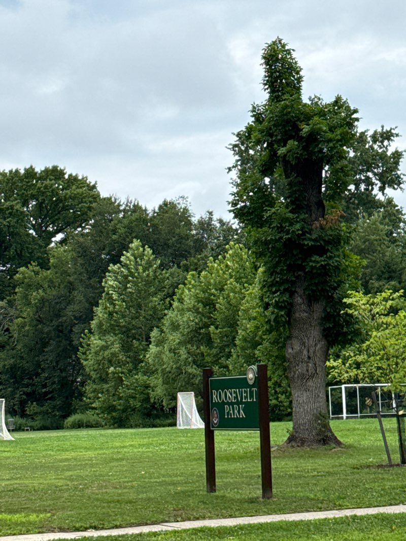 walking near me in Theodore Roosevelt Park in summer