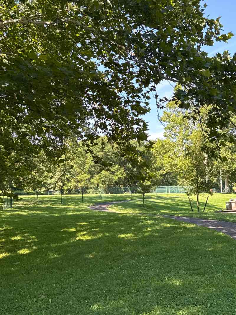 walking near me in Hanover Central Park in summer