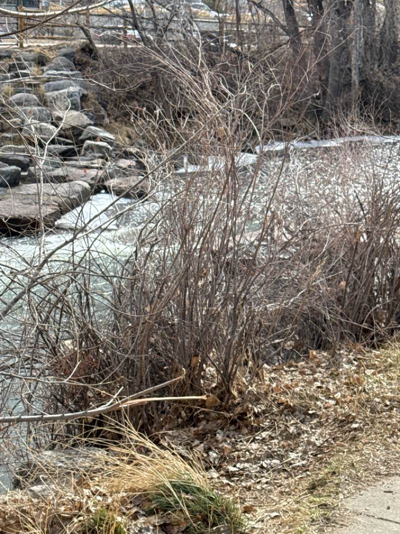 walking near me in Parfet Park in winter