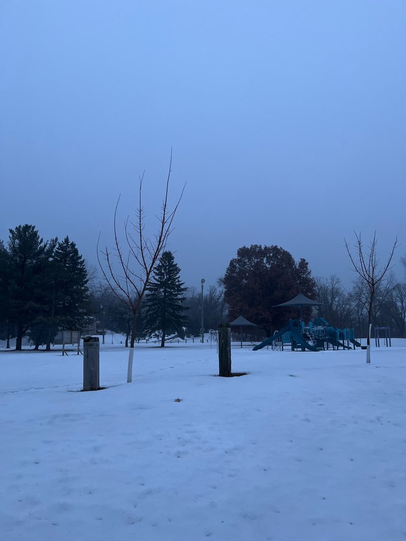 walking near me in Taylor Park in winter
