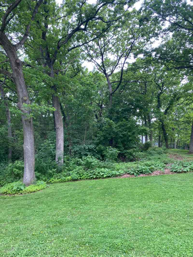 walking near me in City Park in summer