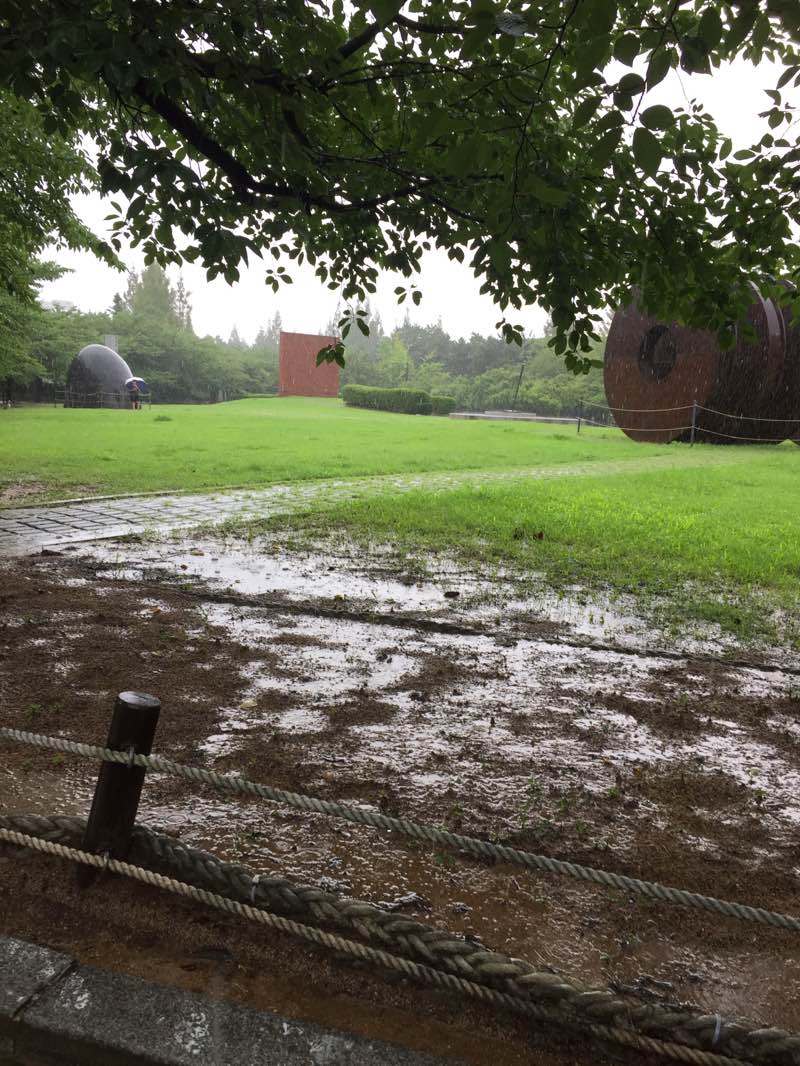 walking near me in 한주공원 in winter