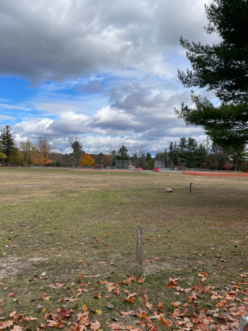 walking near me in Craven Park in autumn