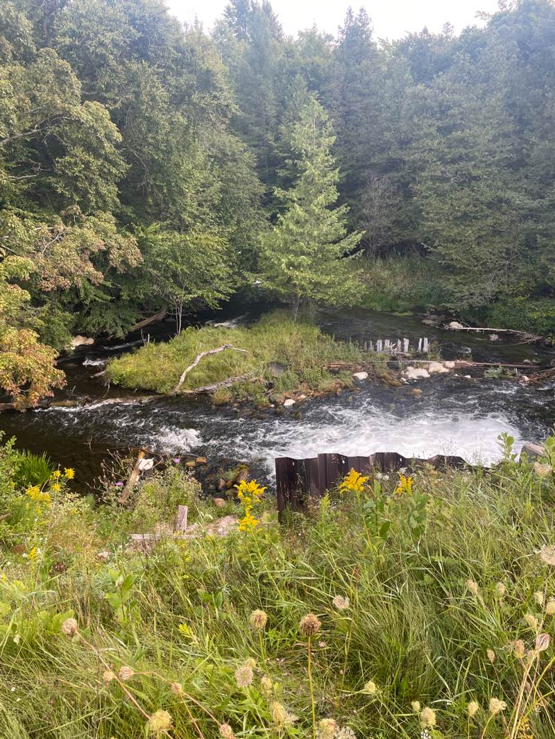 walking near me in Rugg Pond Natural Area in autumn