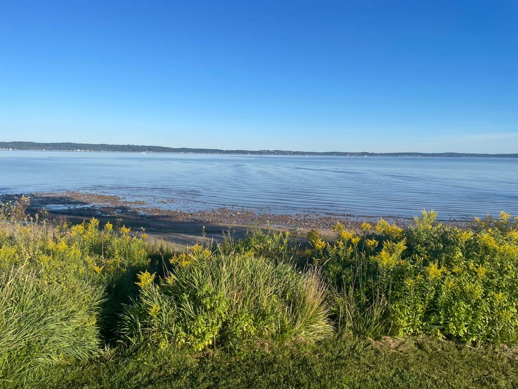 walking near me in Gilroy Roadside Park in autumn