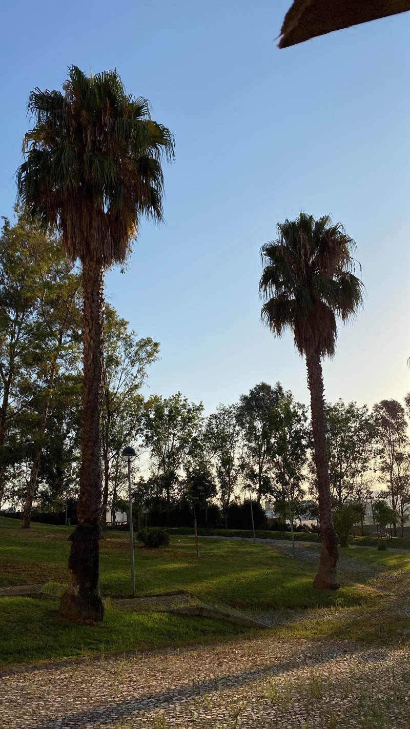 walking near me in Parque Urbano da Ribeirada in winter