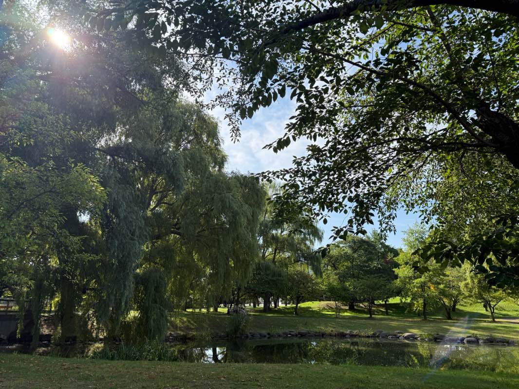 walking near me in 中島公園 in autumn