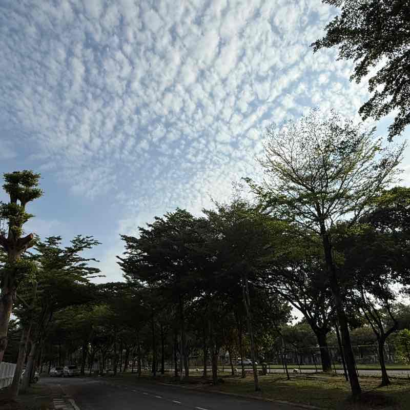 SimLan Tan - MY.Sales post 1