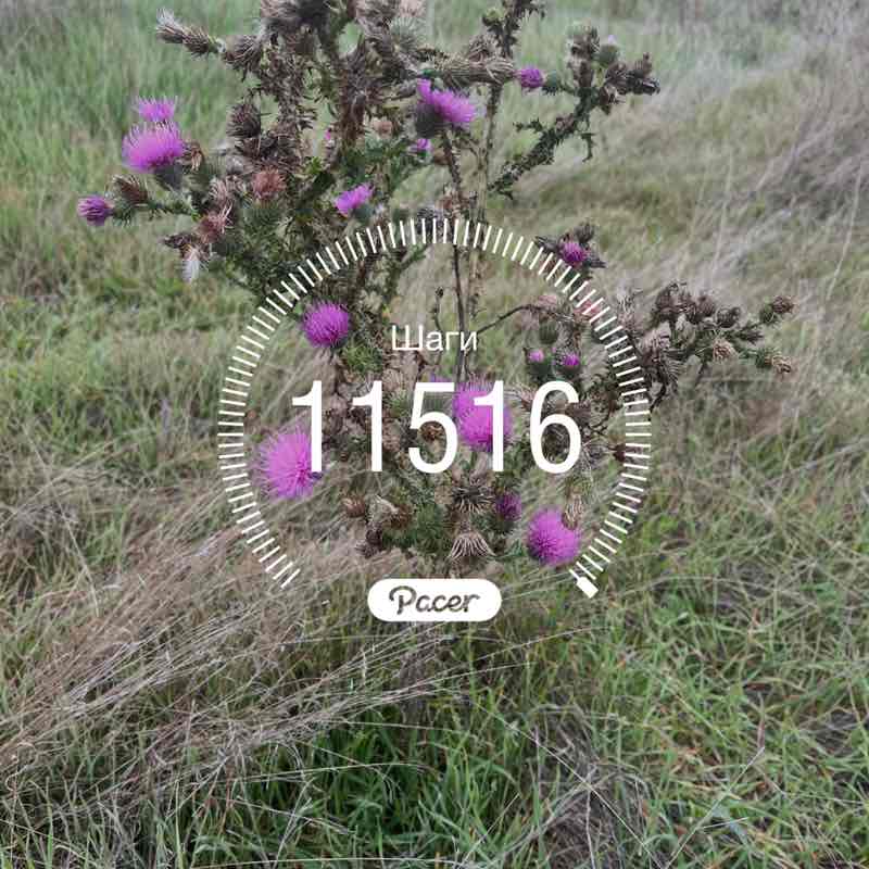 Ирина🐯 post 1