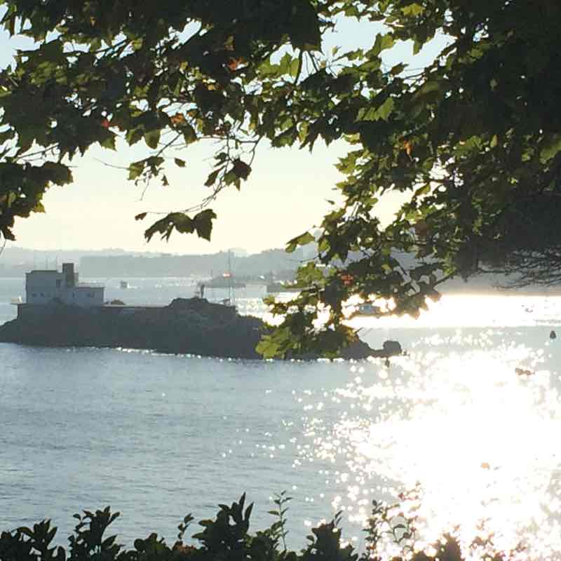 Amigos de Dana arturo🇪🇸🇪🇸🇪🇸 post image