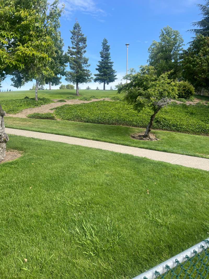 walking near me in Harbour Park in winter