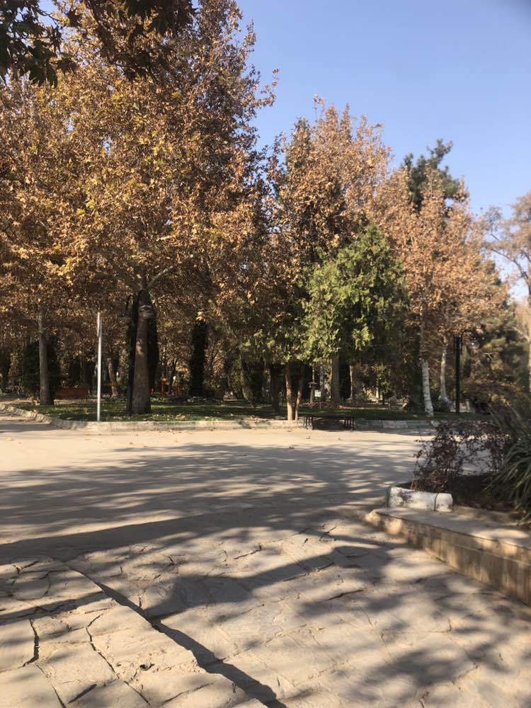 walking near me in Golha Park in autumn