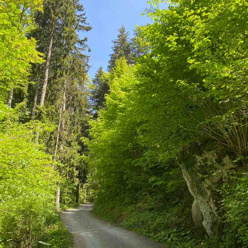 Ruth Spycher-Hasler post 3