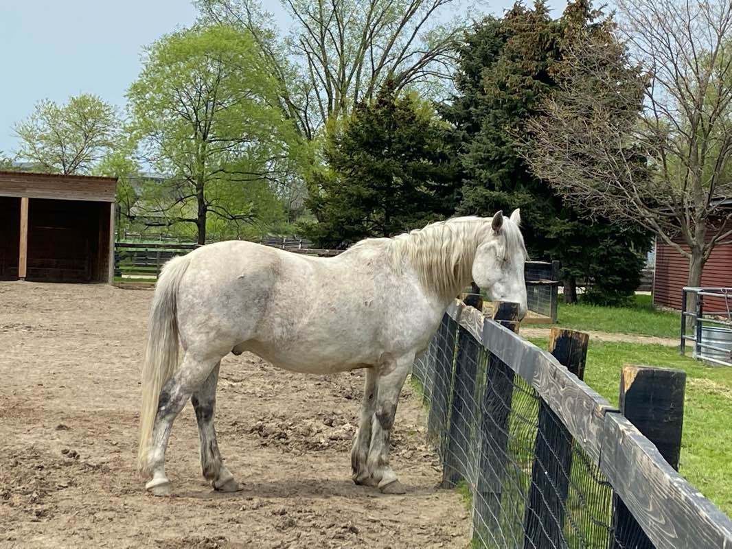 walking near me in Edison's Menlo Park in winter