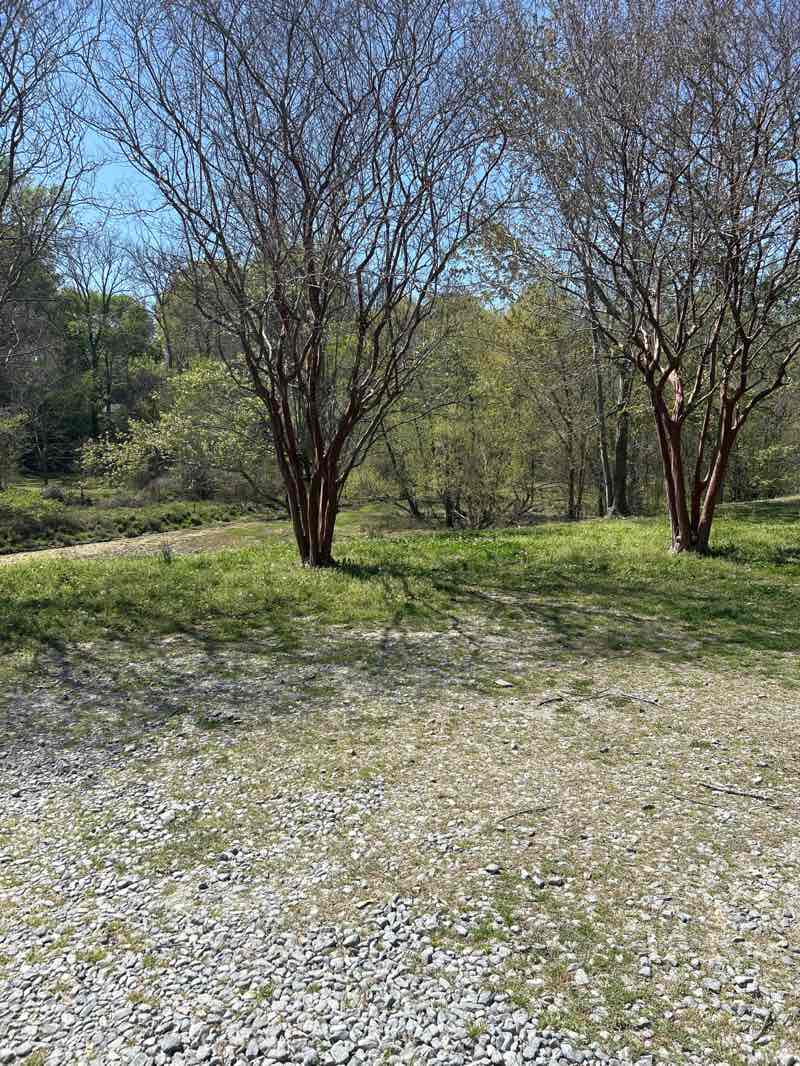 walking near me in Town Commons Park in spring
