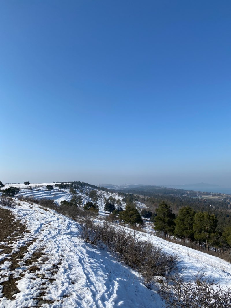 walking near me in Dendrological Park in winter