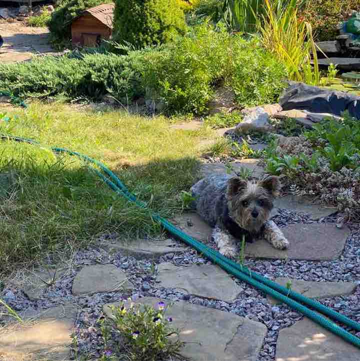 пробить ДНО post 2