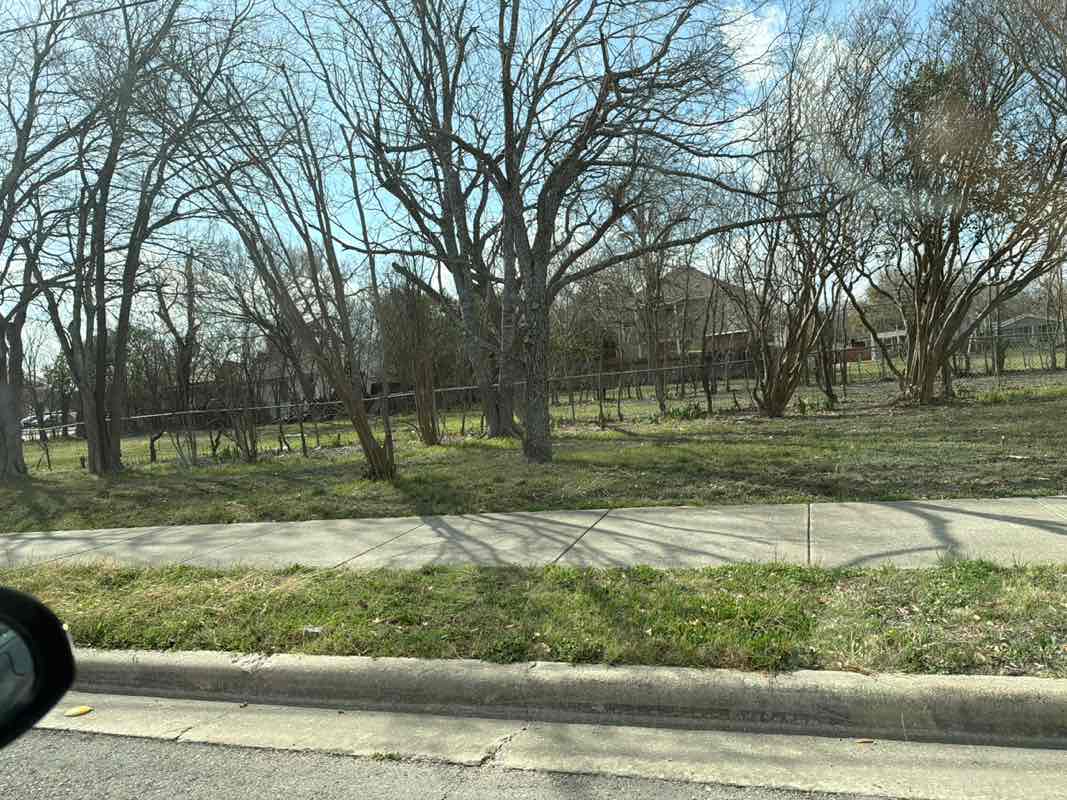 walking near me in Gilleland Creek Park in spring