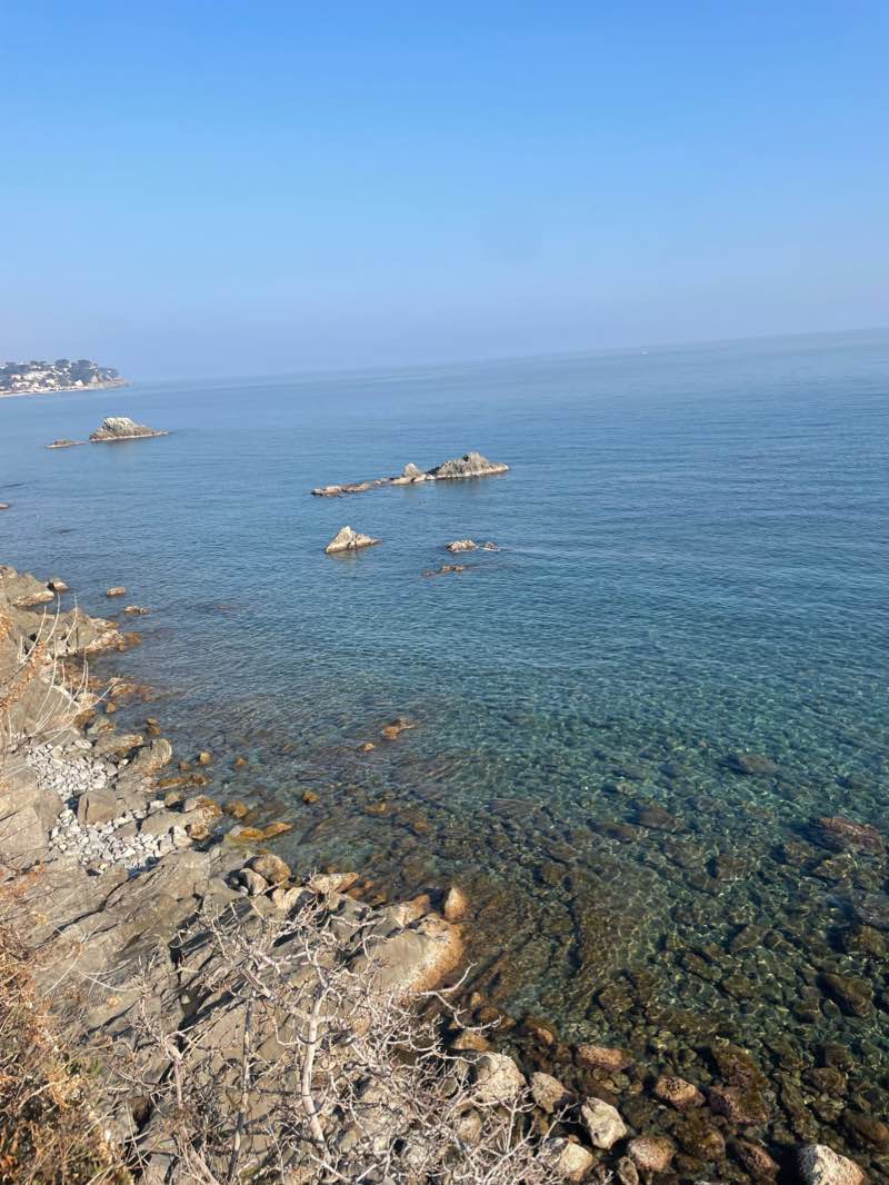 walking near me in Parco Comunale Pineta Bottini in winter