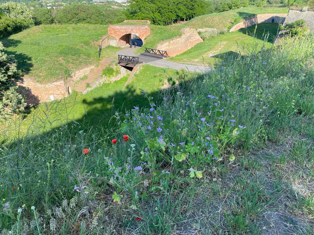 walking near me in Medicinski park in winter
