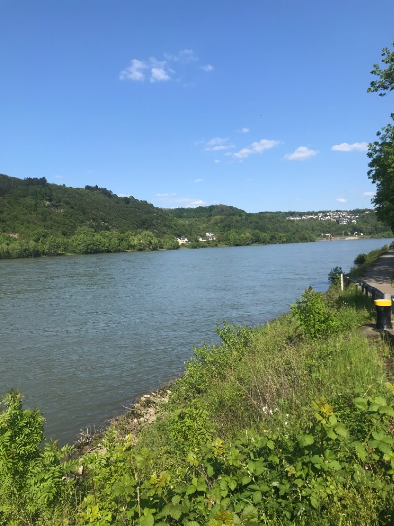 walking near me in Lennepark in winter