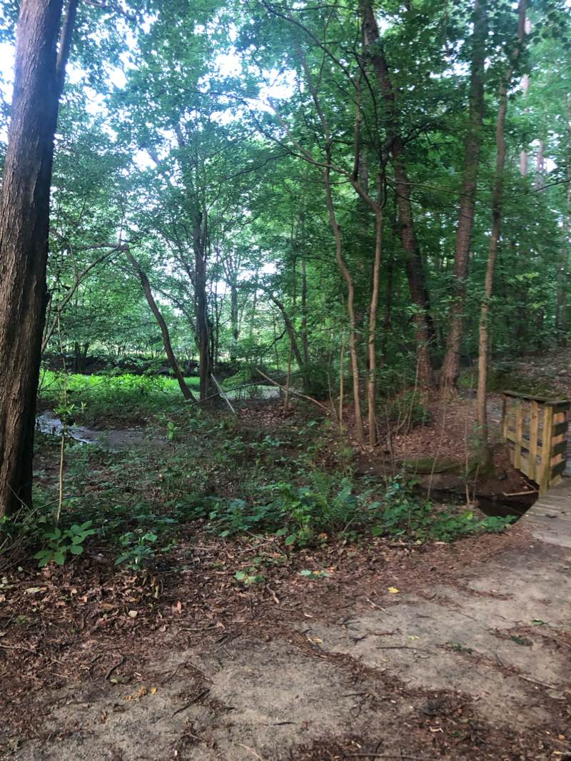 walking near me in Big Shanty Park in winter