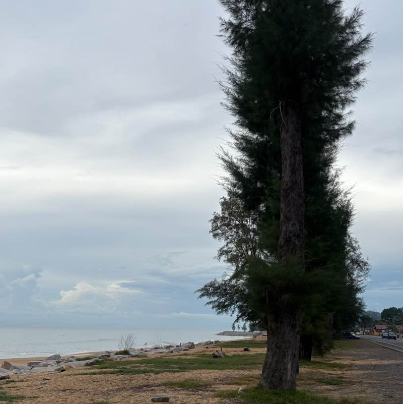 cottonlinen11 post 1