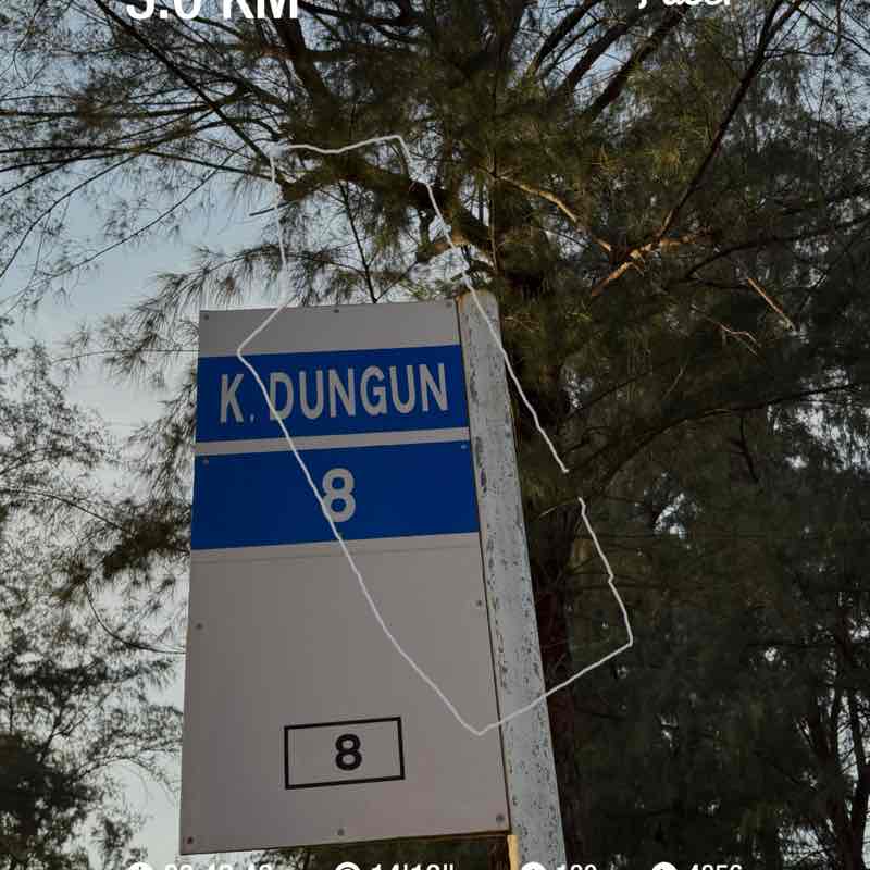 cottonlinen11 post 1