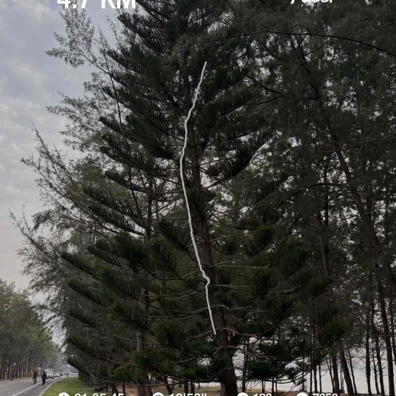 cottonlinen11 post 1