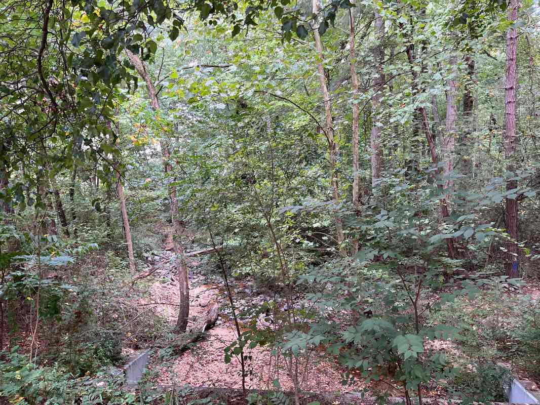 walking near me in Kelly Road Park in winter