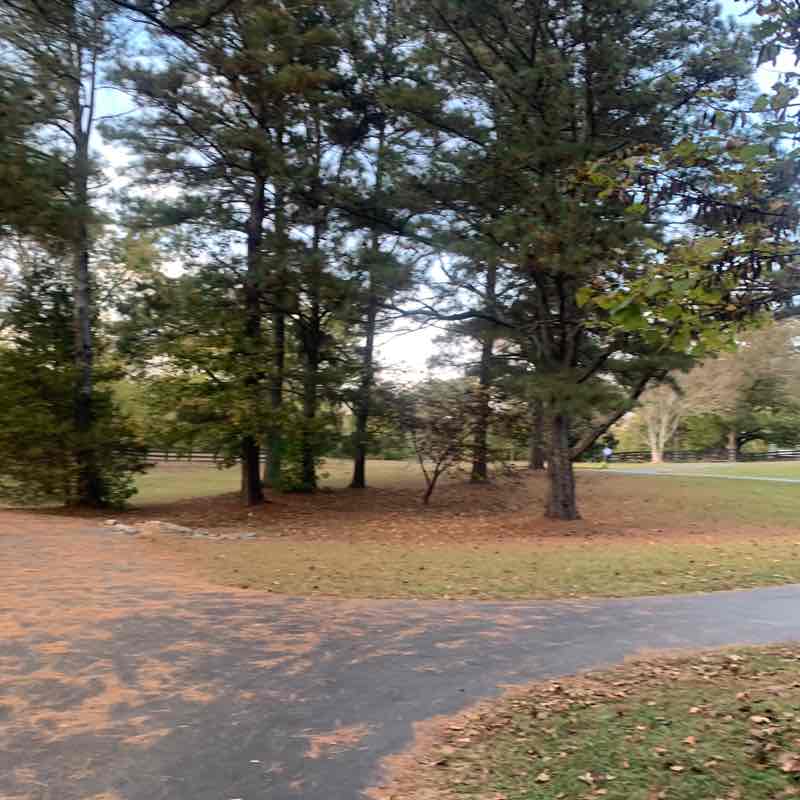 Bunmi 🇺🇸🇳🇬🇬🇧 post 1