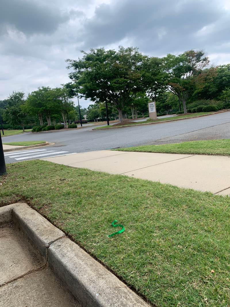 walking near me in Manchester Meadows in summer